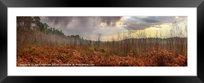 Delamere Forest Panorama Framed Mounted Print by Paul Madden