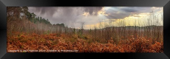 Delamere Forest Panorama Framed Print by Paul Madden