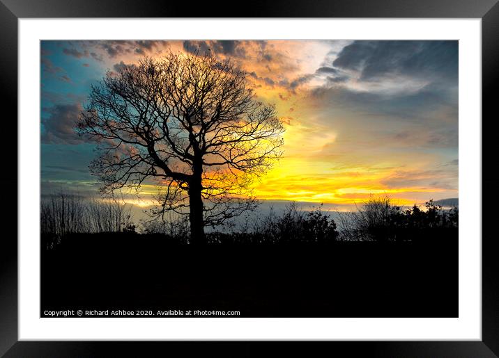 Lone tree with winter sunset Framed Mounted Print by Richard Ashbee