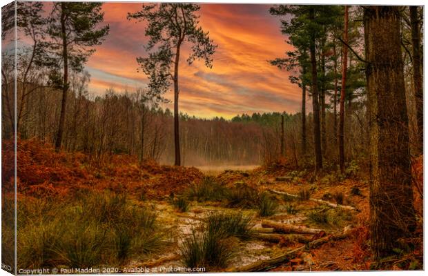 Sunrise at Delamere Forest Canvas Print by Paul Madden