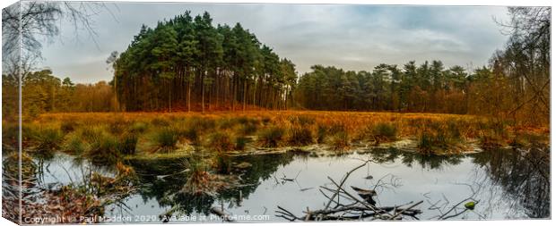 Delamere Forest Lake Panorama Canvas Print by Paul Madden