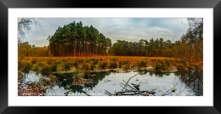 Delamere Forest Lake Panorama Framed Mounted Print by Paul Madden