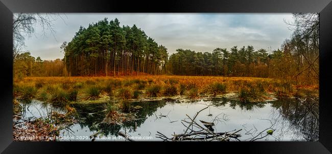 Delamere Forest Lake Panorama Framed Print by Paul Madden