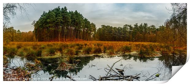 Delamere Forest Lake Panorama Print by Paul Madden