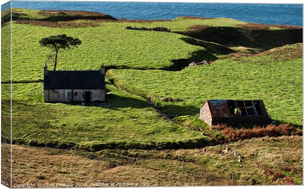 Applecross, abandoned croft Canvas Print by Chris Drabble