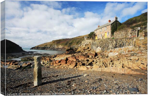 Port Quin Canvas Print by Andrew Ray