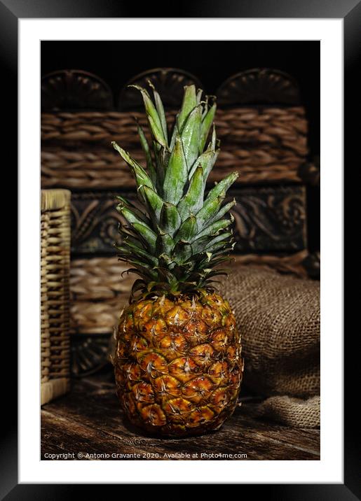 Still life with pineapple on wooden rustic table. Framed Mounted Print by Antonio Gravante