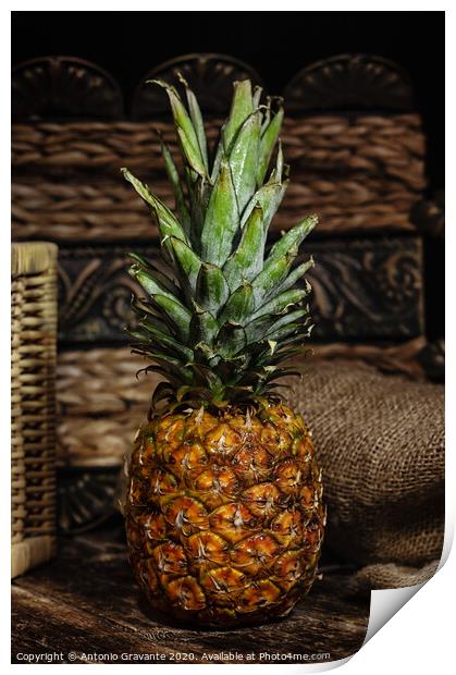 Still life with pineapple on wooden rustic table. Print by Antonio Gravante