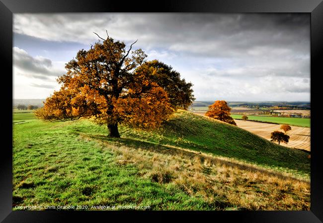 Autumn trees on Loath Hill Framed Print by Chris Drabble