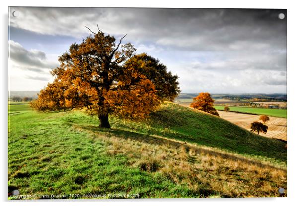 Autumn trees on Loath Hill Acrylic by Chris Drabble