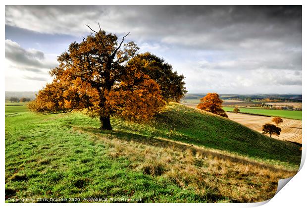 Autumn trees on Loath Hill Print by Chris Drabble