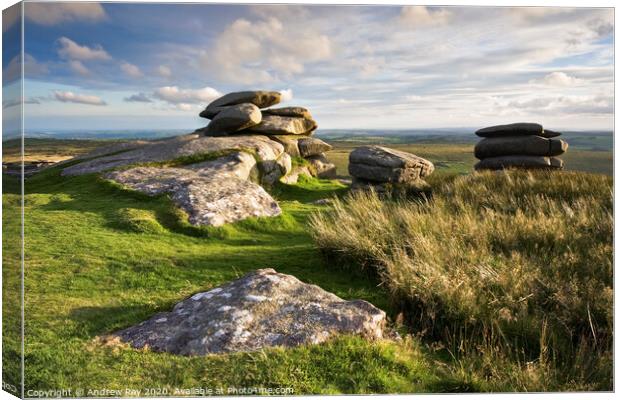 Bodmin Moor Canvas Print by Andrew Ray