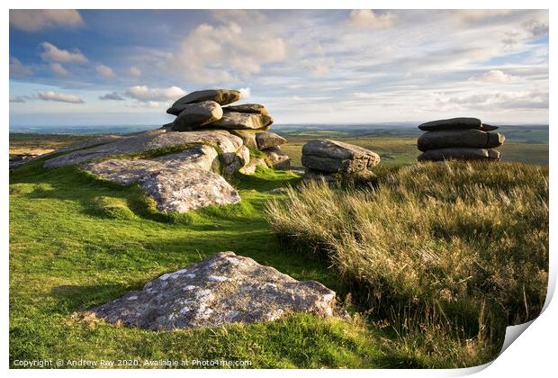 Bodmin Moor Print by Andrew Ray