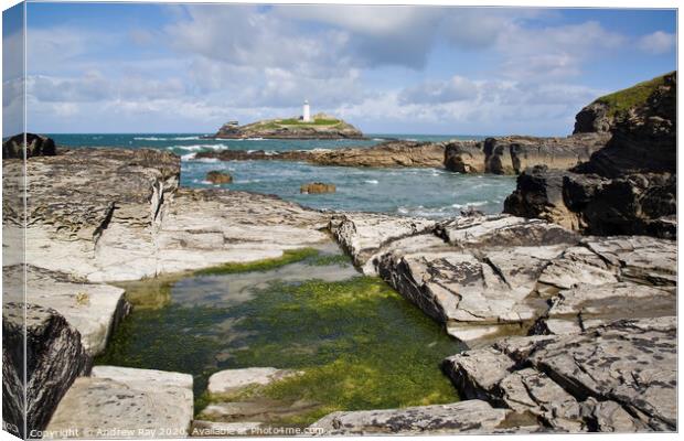 Godrevy Pool Canvas Print by Andrew Ray