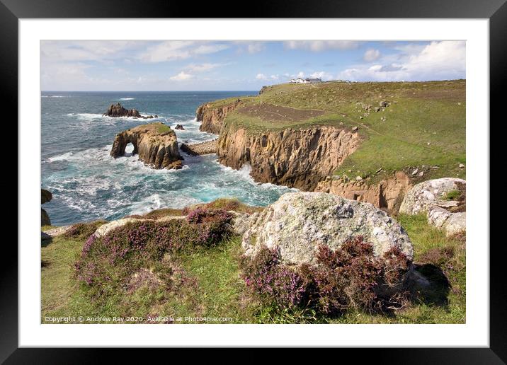 Heather at Land's End Framed Mounted Print by Andrew Ray