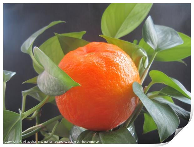 A delicious organic orange, Print by Ali asghar Mazinanian