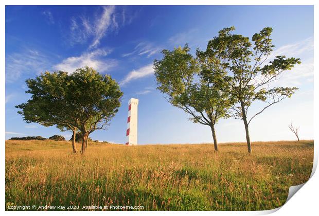 Gribbin Tower Print by Andrew Ray