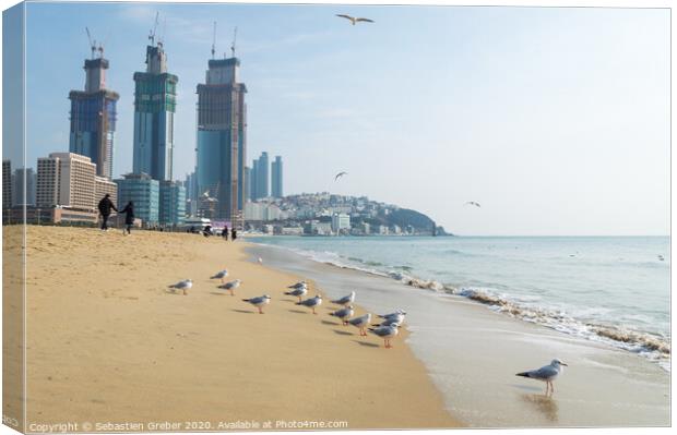 Haeundae Beach in Busan, South Korea Canvas Print by Sebastien Greber