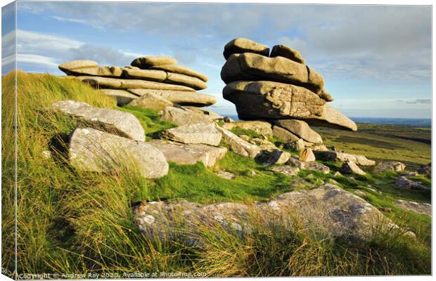 The Cheesewring (Bodmin Moor) Canvas Print by Andrew Ray