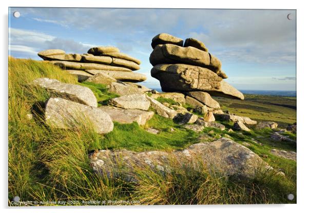 The Cheesewring (Bodmin Moor) Acrylic by Andrew Ray