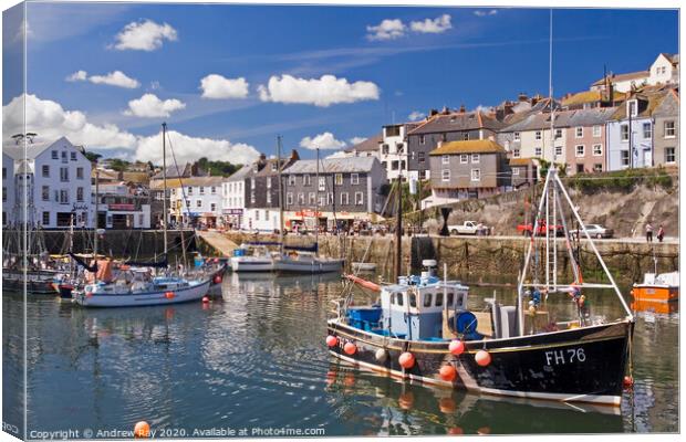 Mevagissey Harbour Canvas Print by Andrew Ray