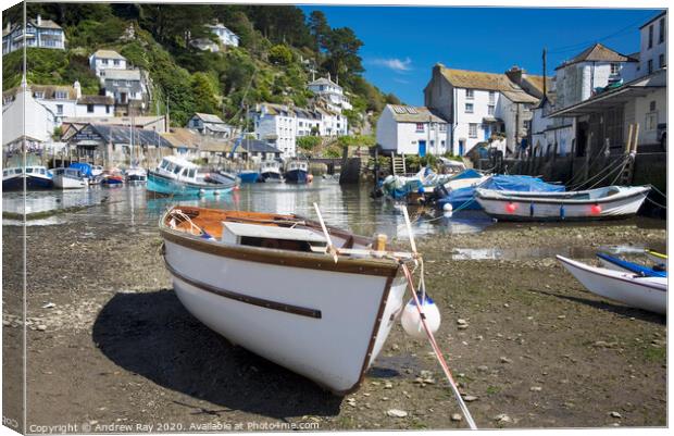 Polperro Harbour Canvas Print by Andrew Ray