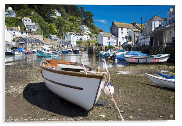 Polperro Harbour Acrylic by Andrew Ray