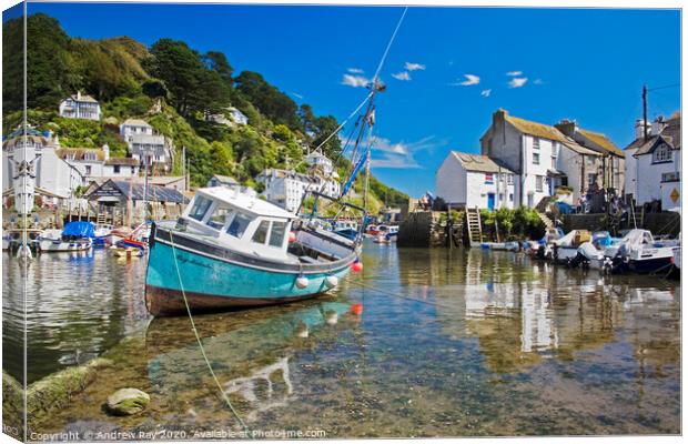 Polperro Canvas Print by Andrew Ray