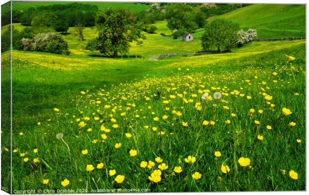 Dove Dale in Spring time Canvas Print by Chris Drabble