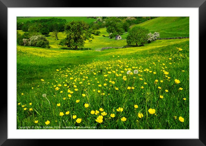 Dove Dale in Spring time Framed Mounted Print by Chris Drabble