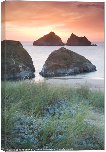 Holywell Dunes Canvas Print by Andrew Ray