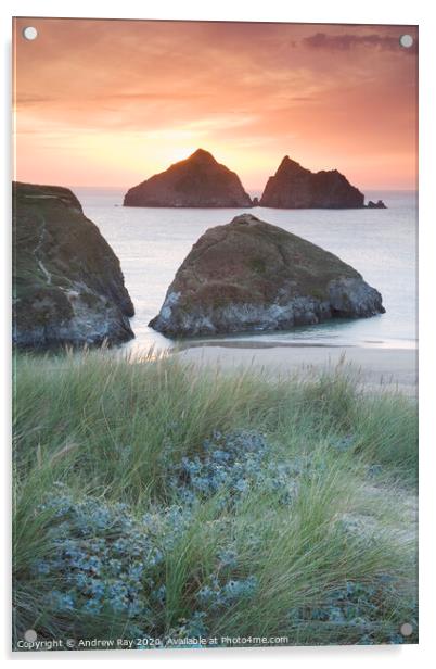 Holywell Dunes Acrylic by Andrew Ray