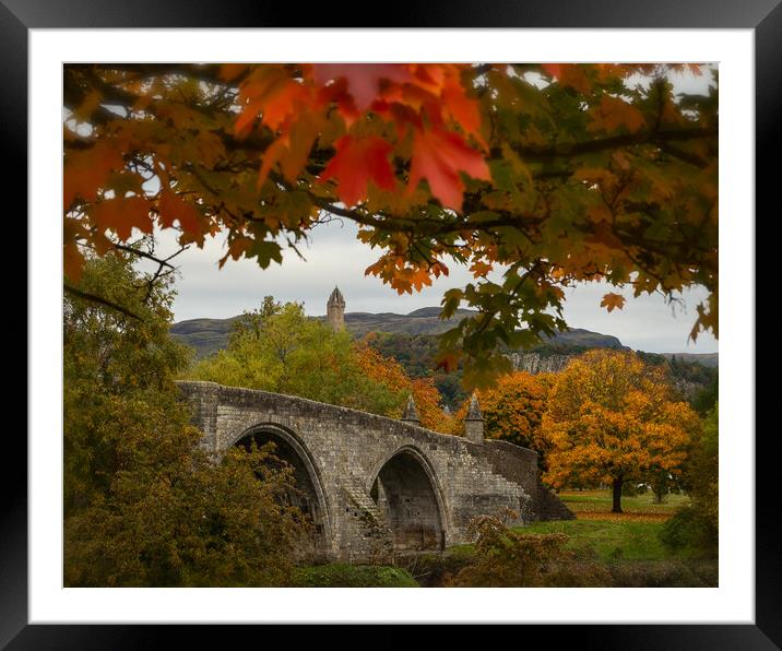 Autumn Frames the Stirling Bridge Framed Mounted Print by Samuel Kerr