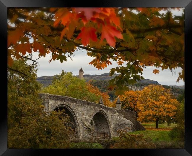 Autumn Frames the Stirling Bridge Framed Print by Samuel Kerr