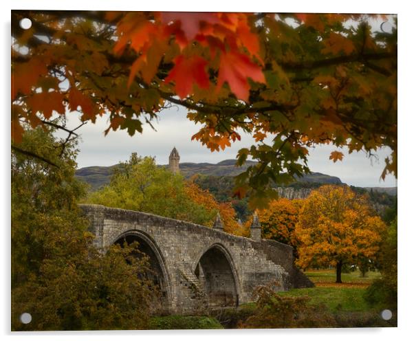 Autumn Frames the Stirling Bridge Acrylic by Samuel Kerr