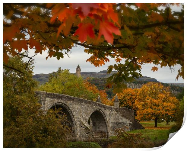 Autumn Frames the Stirling Bridge Print by Samuel Kerr