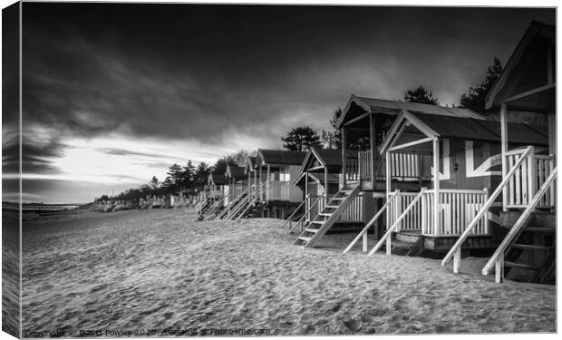 Wells beach huts at dawn Mono Canvas Print by David Powley