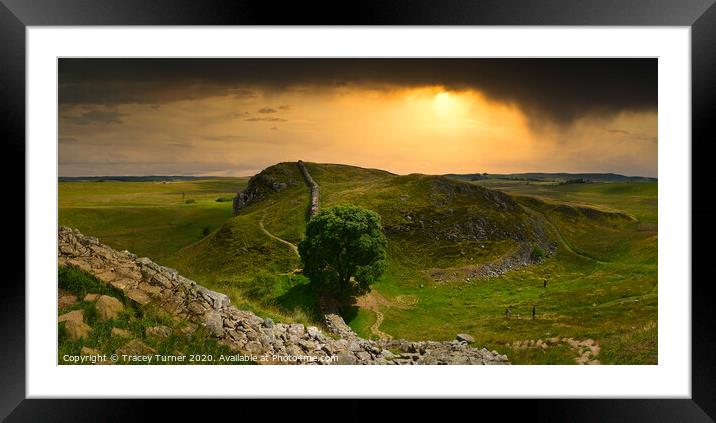 Stunning Sycamore Gap Panoramic Framed Mounted Print by Tracey Turner