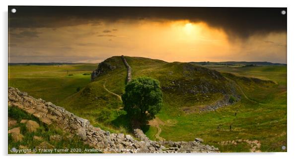 Stunning Sycamore Gap Panoramic Acrylic by Tracey Turner