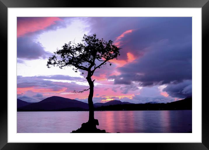 Lone Tree Sunset 2 Framed Mounted Print by Samuel Kerr