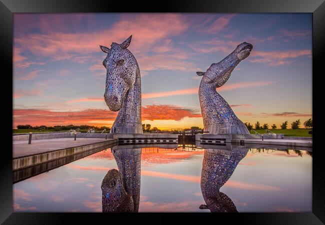 Kelpie Sunset Framed Print by Samuel Kerr