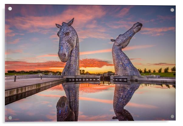 Kelpie Sunset Acrylic by Samuel Kerr