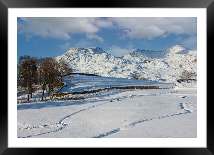 Moelwyn range in snow Framed Mounted Print by Rory Trappe