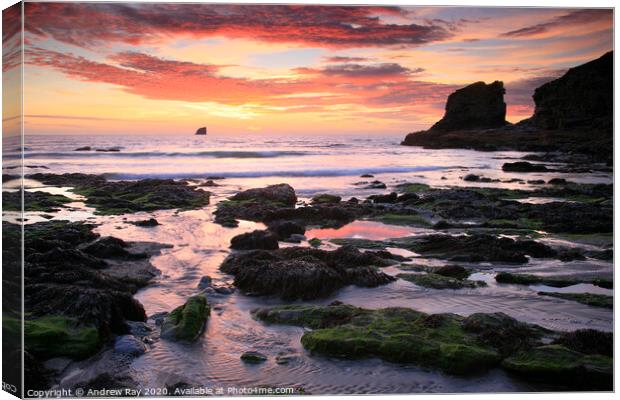 Trevellas Porth Canvas Print by Andrew Ray