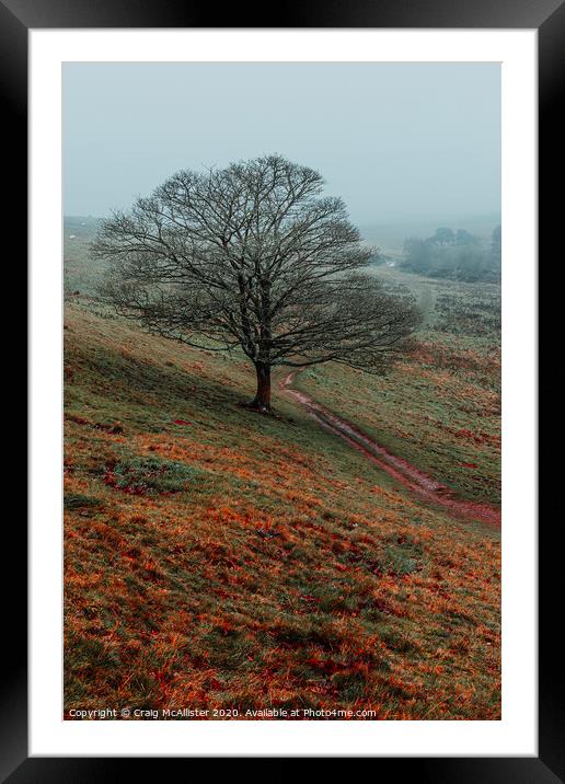 Lone Tree Framed Mounted Print by Craig McAllister