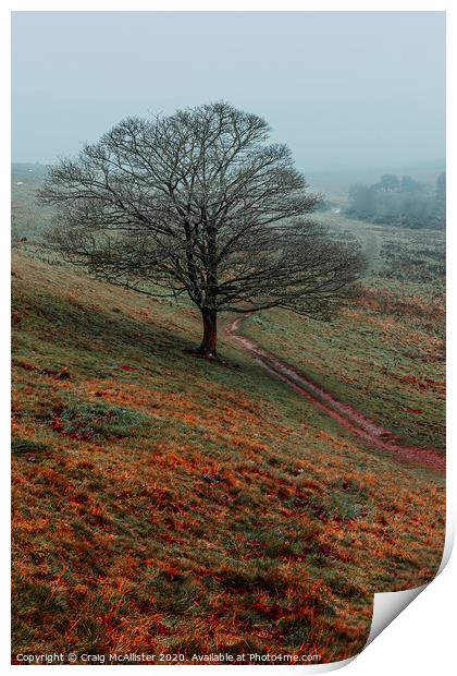Lone Tree Print by Craig McAllister