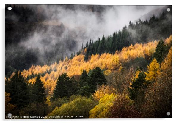 Blaencwm Rhondda Valleys Acrylic by Heidi Stewart