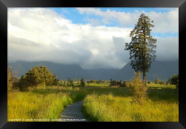 Foot path at Lake Matheson - Glaciers Country Framed Print by Laszlo Konya