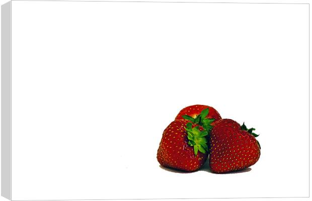 Strawberries Canvas Print by Doug McRae