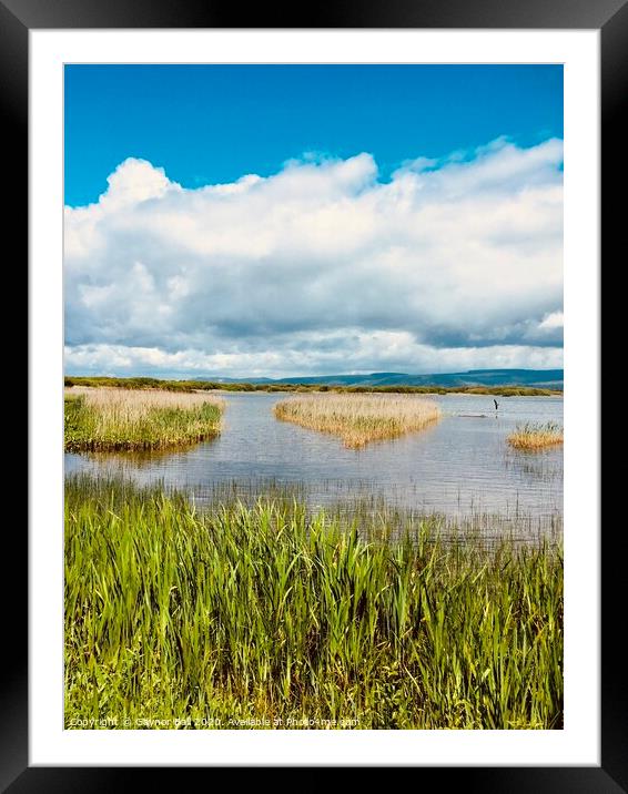 Through the reeds at Kenfig Pool, Bridgend, South Wales Framed Mounted Print by Gaynor Ball